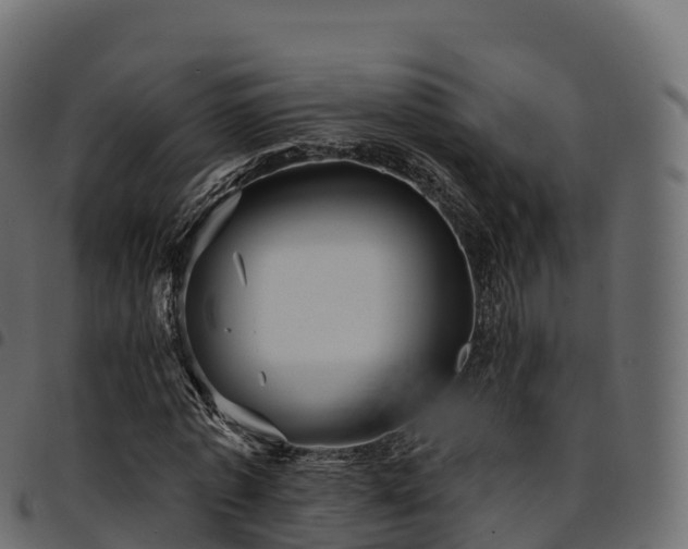 X0000094920773200711291311