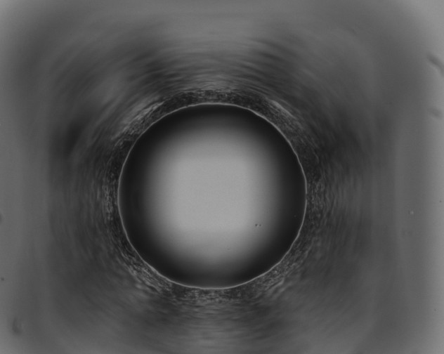 X0000094920774200711291311