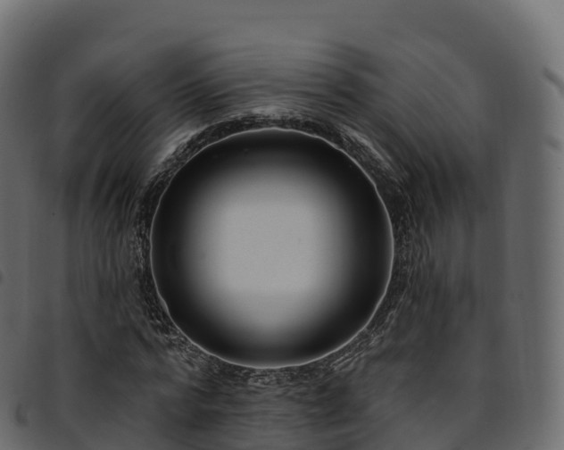 X0000094920776200711291311