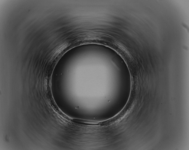 X0000094920777200711291311