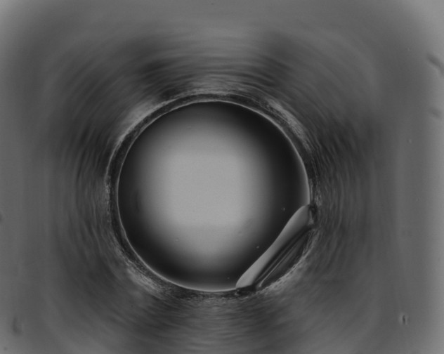 X0000094920779200711291311