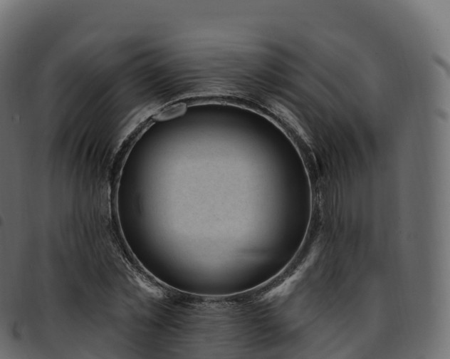 X0000094920781200711291311