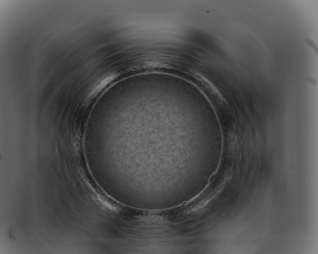 X0000094920785200711291311