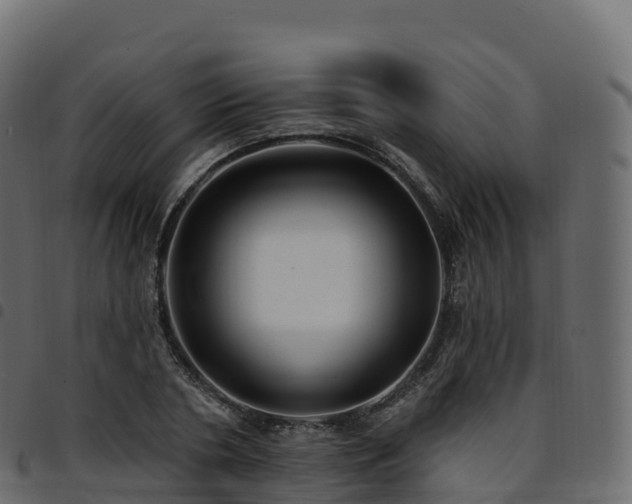 X0000094920786200711291311