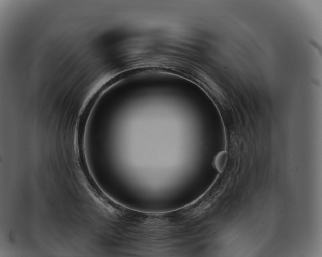 X0000094920788200711291311