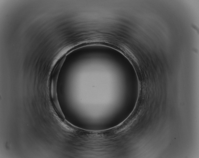 X0000094920789200711291311
