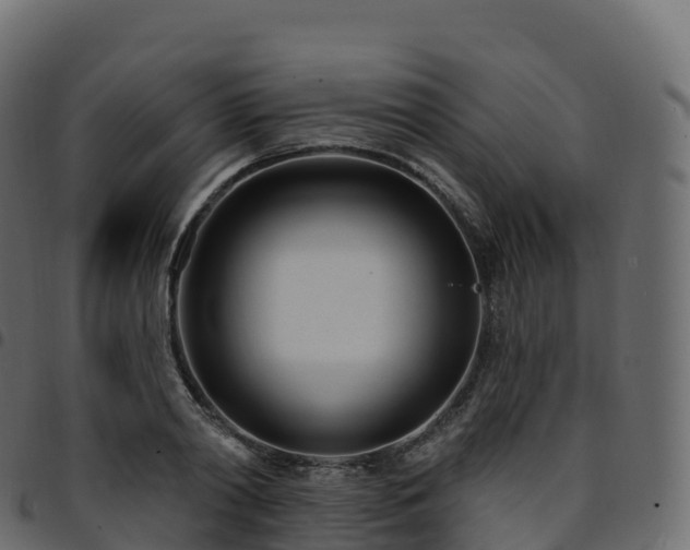 X0000094920790200711291311