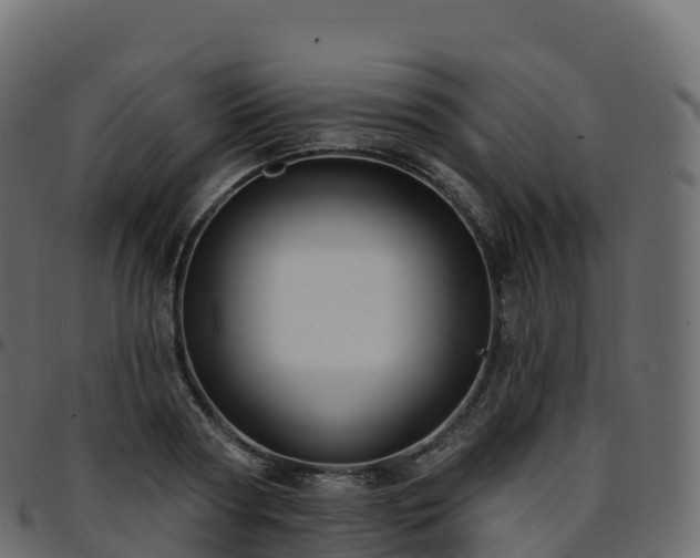 X0000094920794200711291311