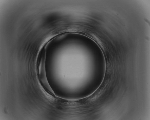 X0000094920795200711291311