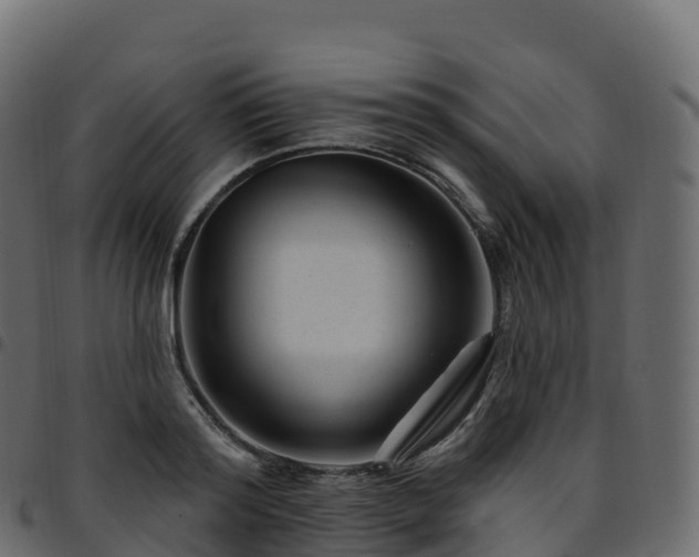 X0000094920796200711291311