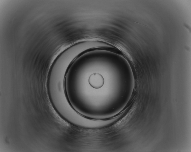 X0000094920797200711291311