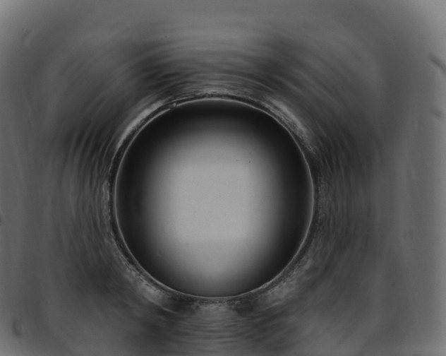 X0000094920798200711291311