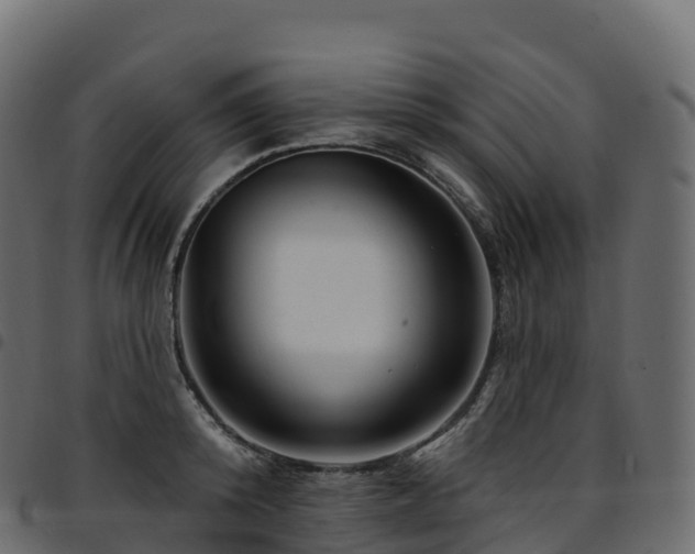 X0000094920800200711291311
