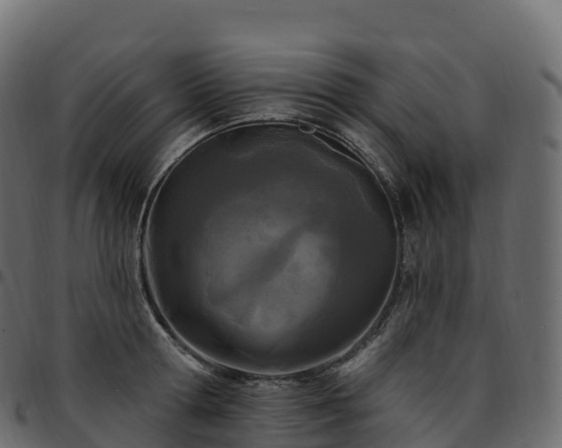 X0000094920802200711291311
