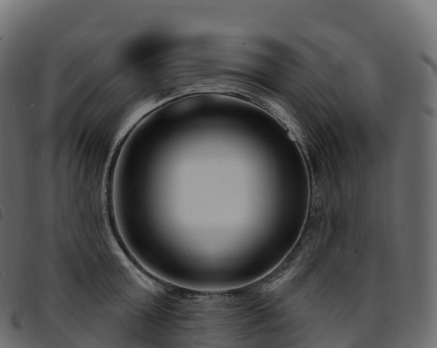 X0000094920803200711291311