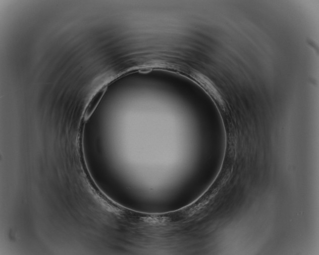 X0000094920805200711291311