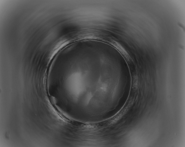 X0000094920806200711291311