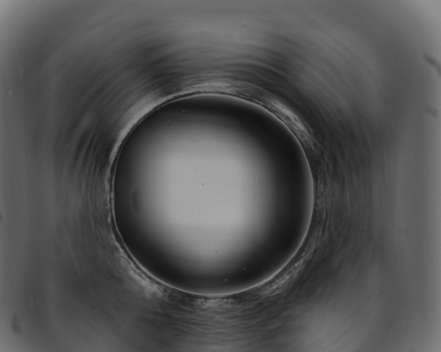 X0000094920808200711291311