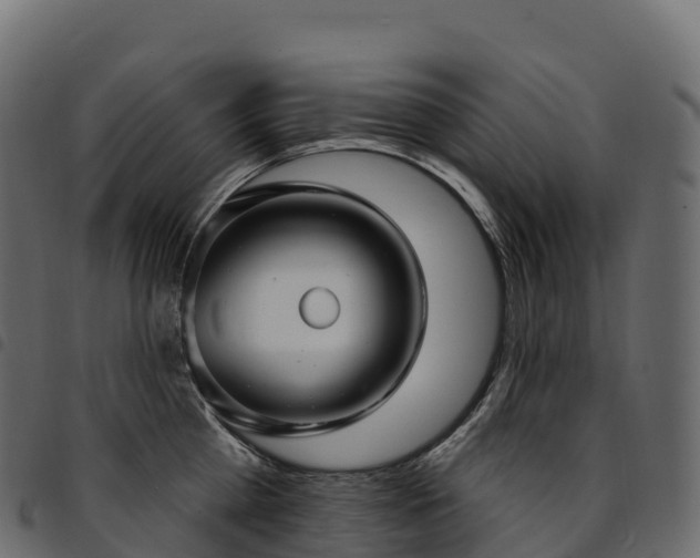 X0000094920809200711291311