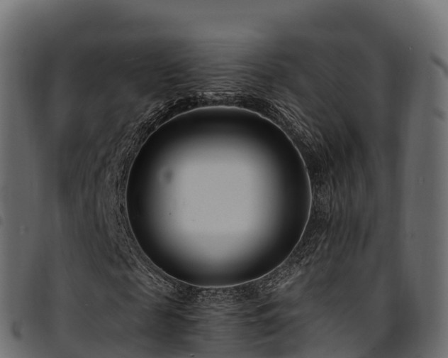 X0000094920817200711291310