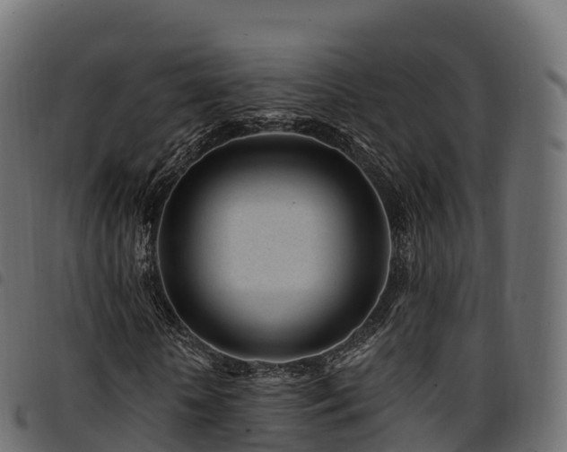 X0000094920818200711291310