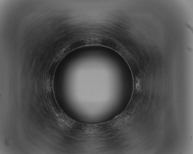 X0000094920819200711291310