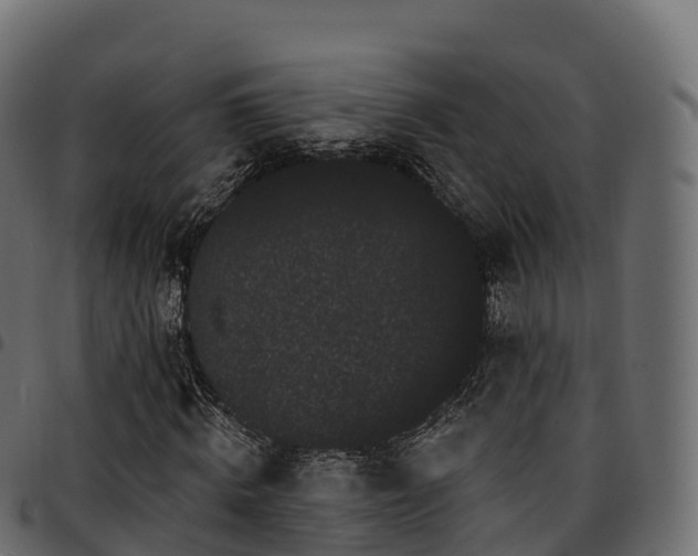 X0000094920820200711291310