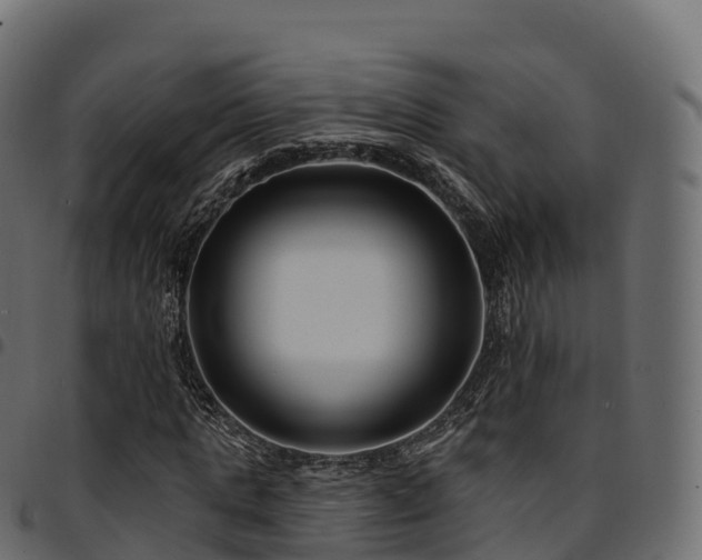 X0000094920821200711291310