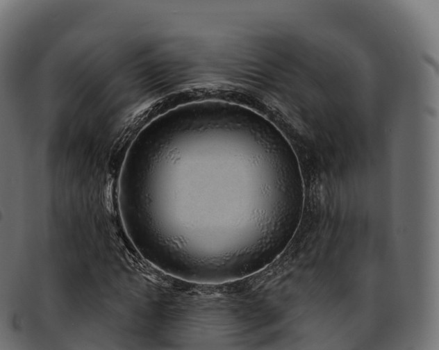 X0000094920822200711291310