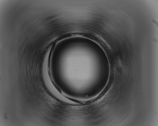 X0000094920825200711291310