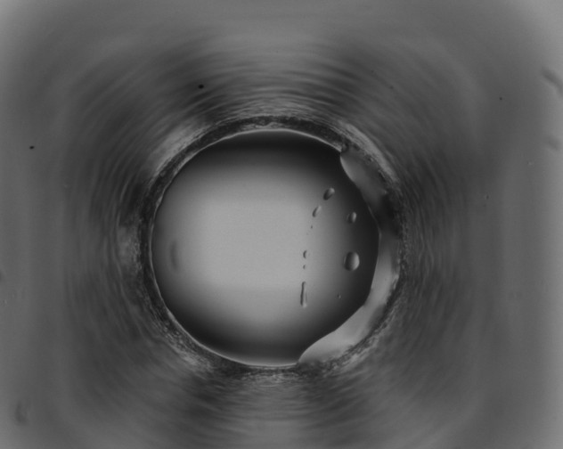 X0000094920826200711291310