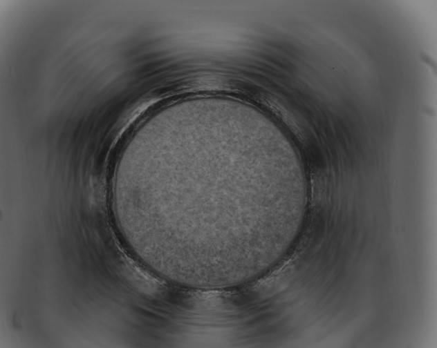 X0000094920828200711291310