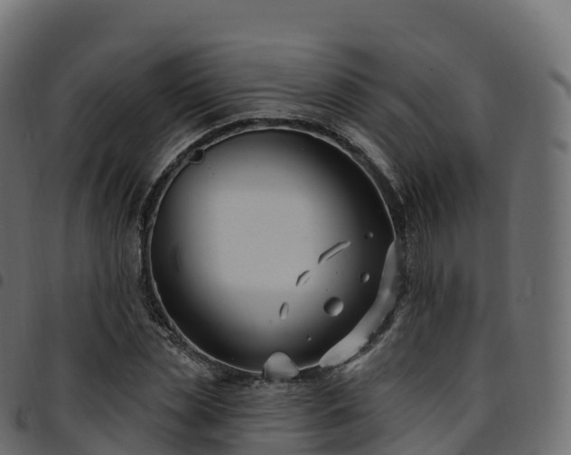 X0000094920829200711291310