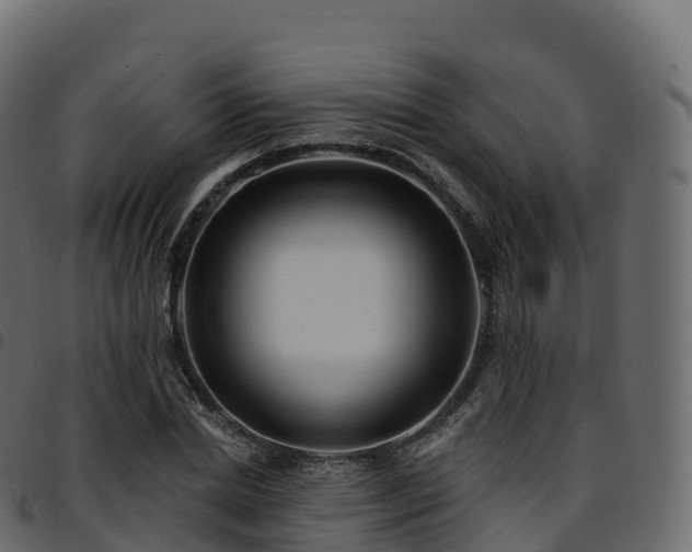 X0000094920830200711291310