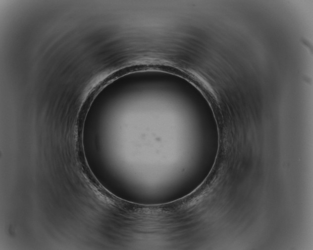 X0000094920831200711291310