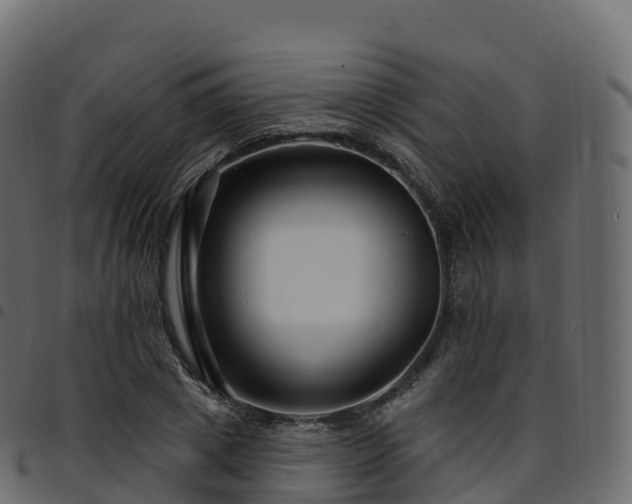 X0000094920833200711291310