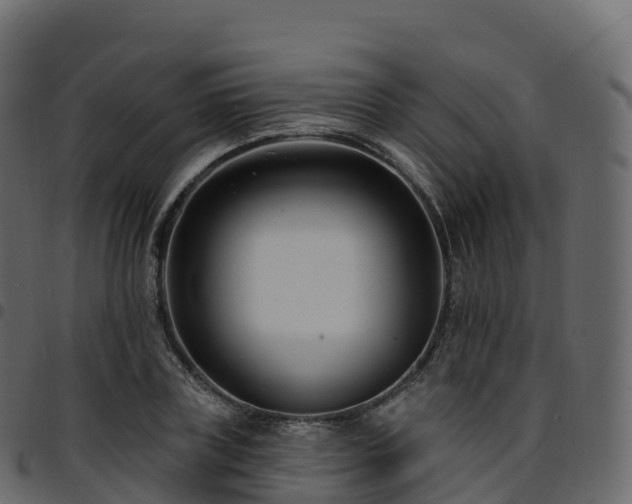 X0000094920835200711291310