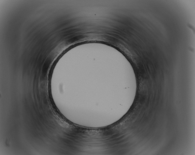 X0000094920836200711291310