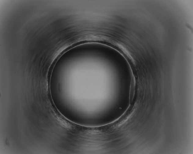 X0000094920837200711291310