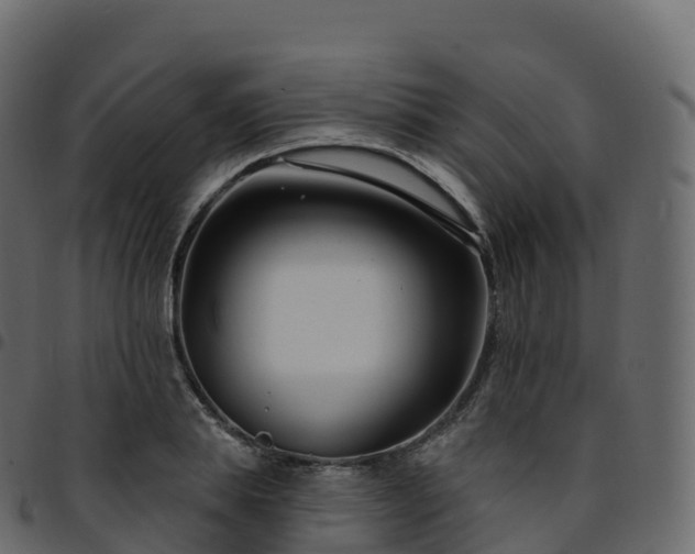 X0000094920839200711291310
