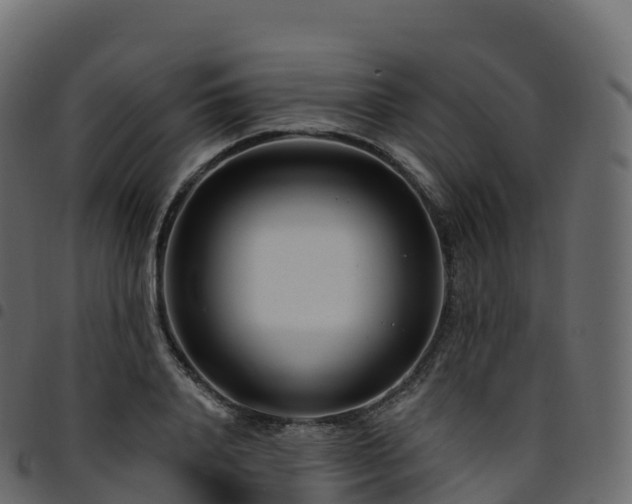X0000094920840200711291310