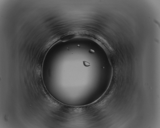 X0000094920841200711291310