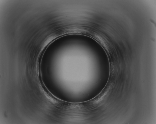 X0000094920843200711291310