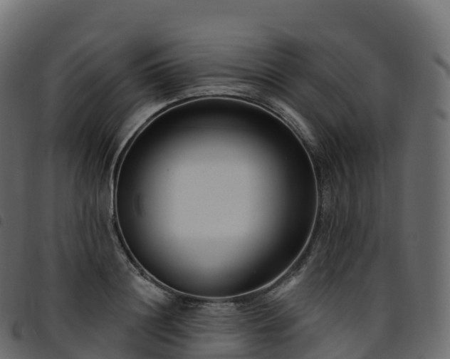 X0000094920844200711291310
