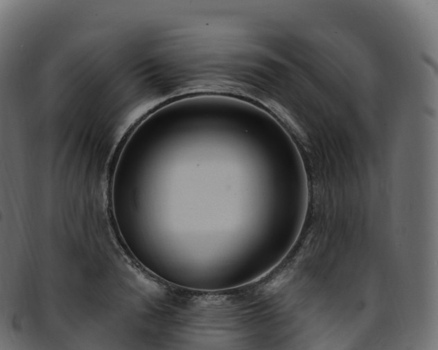 X0000094920846200711291310