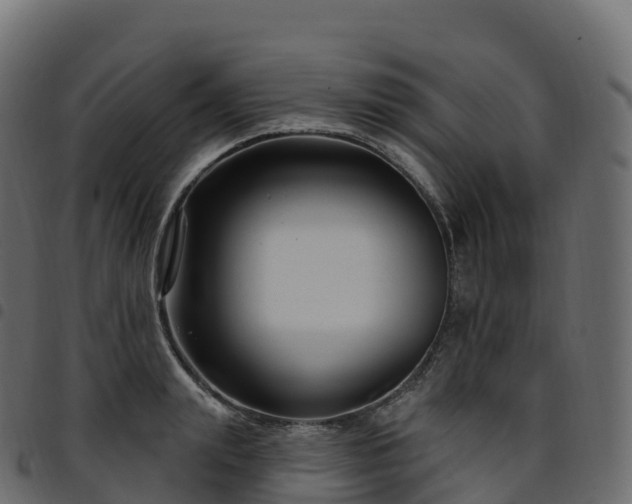 X0000094920847200711291310