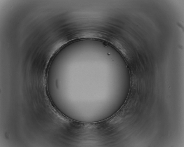 X0000094920848200711291310