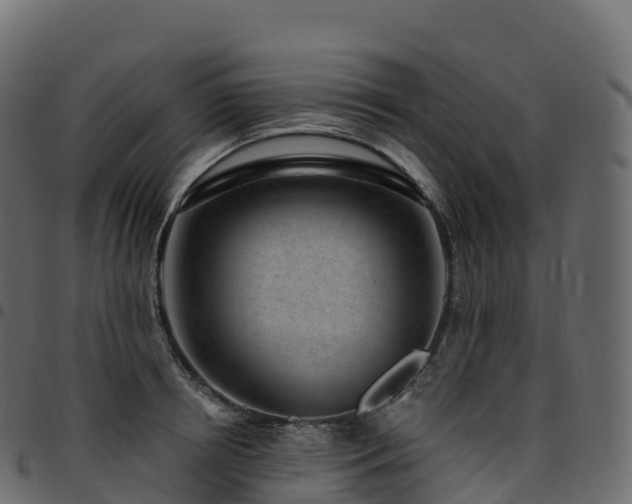 X0000094920850200711291310