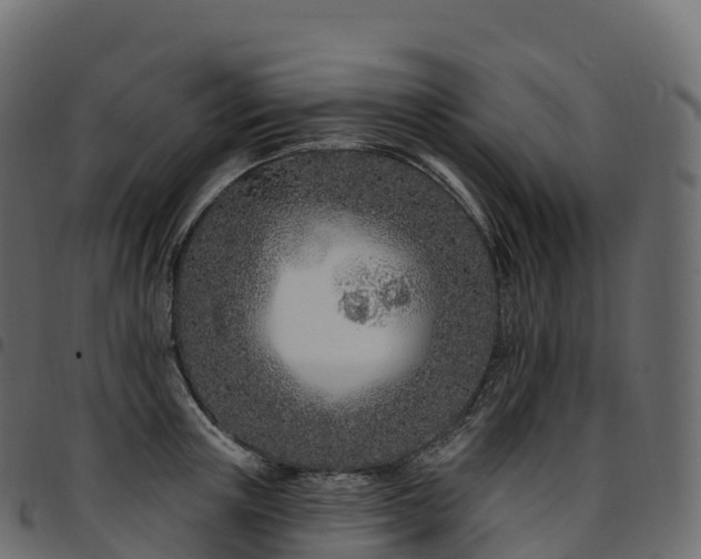 X0000094920851200711291310