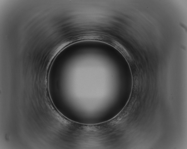 X0000094920852200711291310